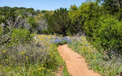 Top 10 Hiking/Running Trails in Central Texas